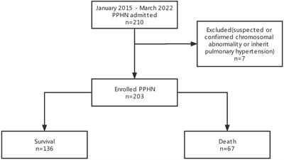 A nomogram prediction model for early death in patients with persistent pulmonary hypertension of the newborn